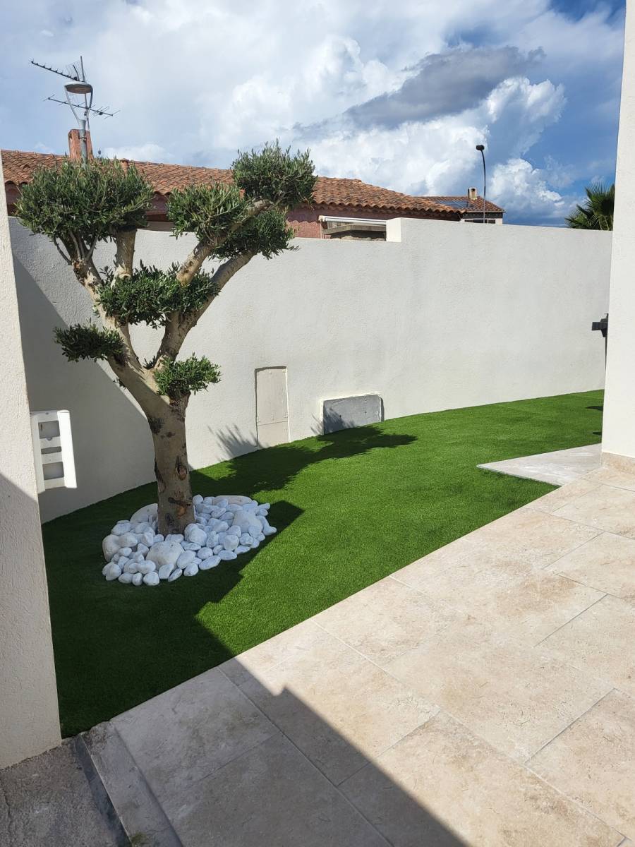 Plantation d’un olivier bonsaï dans le Var 83