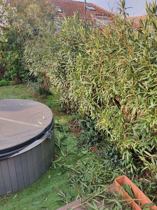 avant remise en état à Toulon