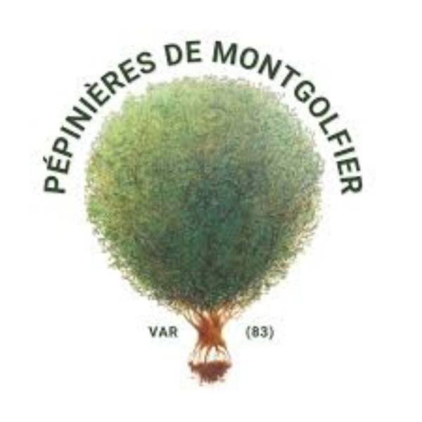 Plantes et végétaux méditerranéens